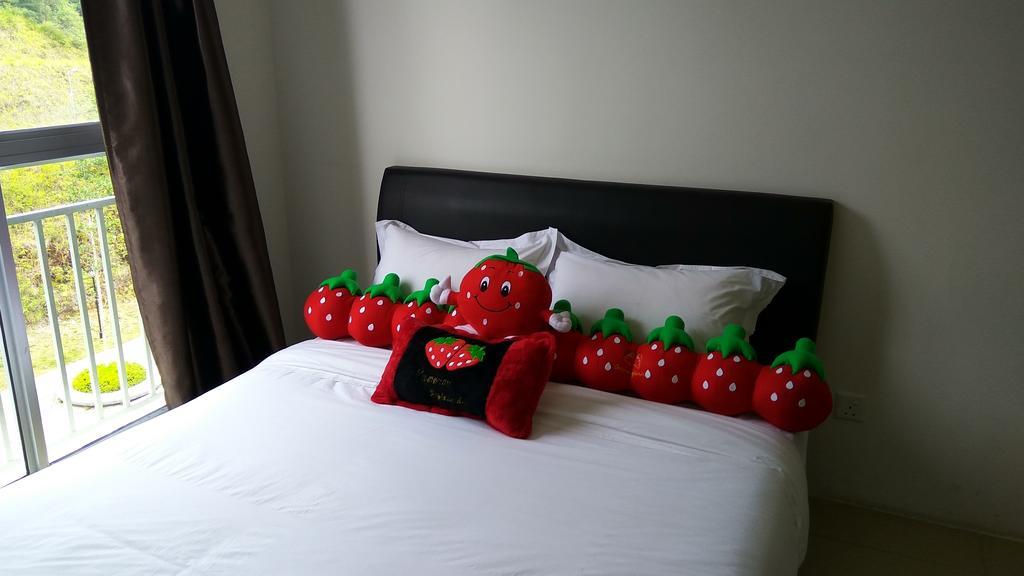 Cameron Strawberry * Cameron Highlands